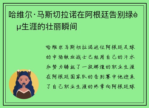 哈维尔·马斯切拉诺在阿根廷告别绿茵生涯的壮丽瞬间